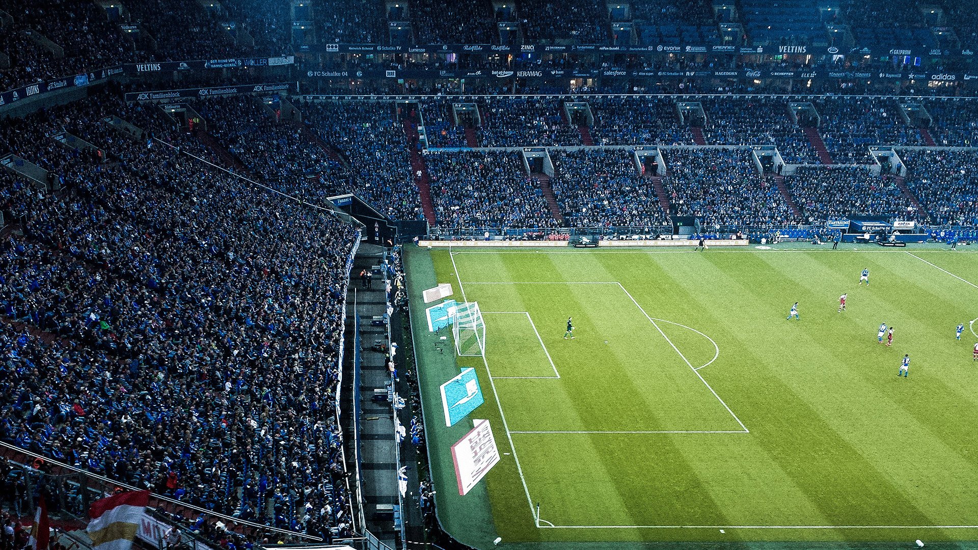 激情与归属，全球球迷文化如何塑造现代体育精神